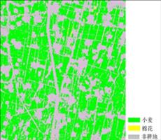 全國(guó)省-市-縣級農田分類面(miàn)積統計數